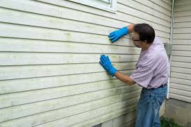 Best Storm Damage Siding Repair  in St Augustine Shores, FL